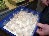Bild: Spannendes BIOTechnikum