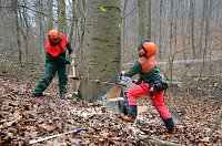 Bild: Verkehrssicherung