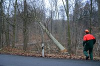 Bild: Verkehrssicherung