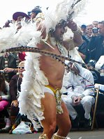 Bild: R&uuml;ckschau - der Carneval in Santa Cruz