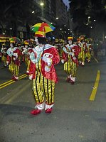 Bild: R&uuml;ckschau - der Carneval in Santa Cruz
