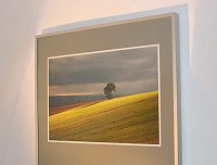 6.Landesfotoschau in Bad Frankenhausen Bild: 6.Landesfotoschau in Bad Frankenhausen