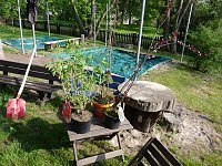 Bild: Baum gepflanzt und mehr