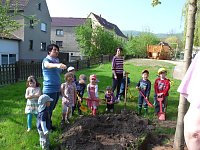 Bild: Baum gepflanzt und mehr