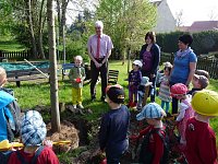 Bild: Baum gepflanzt und mehr