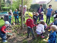 Bild: Baum gepflanzt und mehr