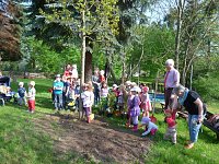 Bild: Baum gepflanzt und mehr