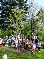 Bild: Baum gepflanzt und mehr