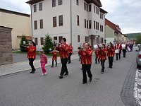 Bild: Fliederkrone gesetzt