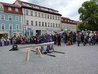 Bild: Fliederkrone gesetzt