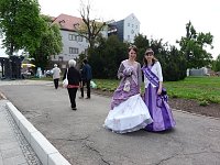 Bild: Markt zum Fliederfest