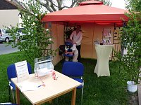 Bild: Markt zum Fliederfest