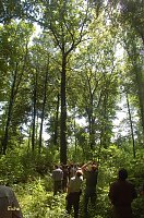 Waldschadenserhebung Bild: Waldschadenserhebung