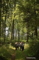 Waldschadenserhebung Bild: Waldschadenserhebung
