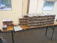 Bild: In Brettern entdeckt