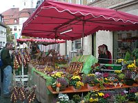 Arterner Zwiebelmarkt Bild: Arterner Zwiebelmarkt