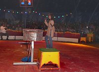 Zirkus Bellissimo Bild: Zirkus Bellissimo