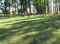 Bild: Sport und Spielfest