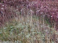 Natur in Artern Bild: Natur in Artern