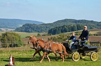 Bild: Die zweite Auflage