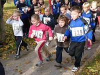 15. Stadtparklauf Sondershausen Bild: 15. Stadtparklauf Sondershausen