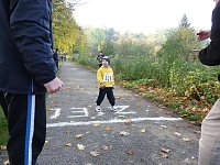 15. Stadtparklauf Sondershausen Bild: 15. Stadtparklauf Sondershausen