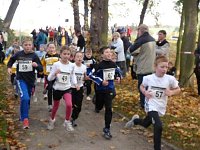15. Stadtparklauf Sondershausen Bild: 15. Stadtparklauf Sondershausen