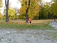 15. Stadtparklauf Sondershausen Bild: 15. Stadtparklauf Sondershausen