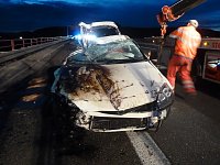 Unfallverursacher gesucht Bild: Unfallverursacher gesucht