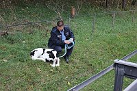 Bild: K&auml;lbchen auf der Piste