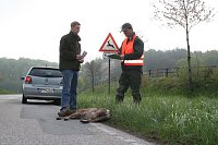 Bild: Wildunf&auml;lle reduzieren