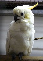 Sehenswerte Ausstellung Bild: Sehenswerte Ausstellung