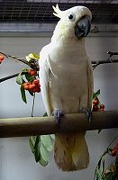 Sehenswerte Ausstellung Bild: Sehenswerte Ausstellung