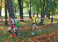 Bild: Stadtparklauf