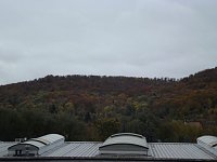 Bild: Goldener Herbst und buntes Laub