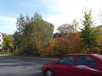 Bild: Goldener Herbst und buntes Laub
