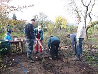 Bild: Garten wird behindertengerecht