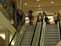 Bild: Galerie aufgemischt