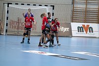 Bild: THC gewinnt gegen Hypo Nieder&ouml;sterreich