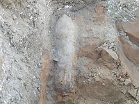 Blindgänger gefunden Bild: Blindgänger gefunden