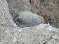 Blindgänger gefunden Bild: Blindgänger gefunden