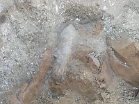 Blindgänger gefunden Bild: Blindgänger gefunden