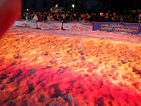 Bild: Nacktrodel-WM 2014