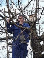 Baumschnitt im Kita-Projektgarten Bild: Baumschnitt im Kita-Projektgarten