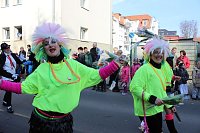 Rosenmontagsumzug Bild: Rosenmontagsumzug