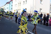 Rosenmontagsumzug Bild: Rosenmontagsumzug