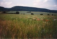 Bild: Die Feuerkuppe, der &ouml;stliche Abschluss des Sargberges