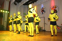 Bild: M&auml;nnerballetts in Bleicherode