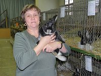 Rassekaninchenschau Kyffhäuserkreis Bild: Rassekaninchenschau Kyffhäuserkreis