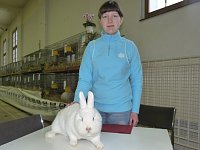 Rassekaninchenschau Kyffhäuserkreis Bild: Rassekaninchenschau Kyffhäuserkreis